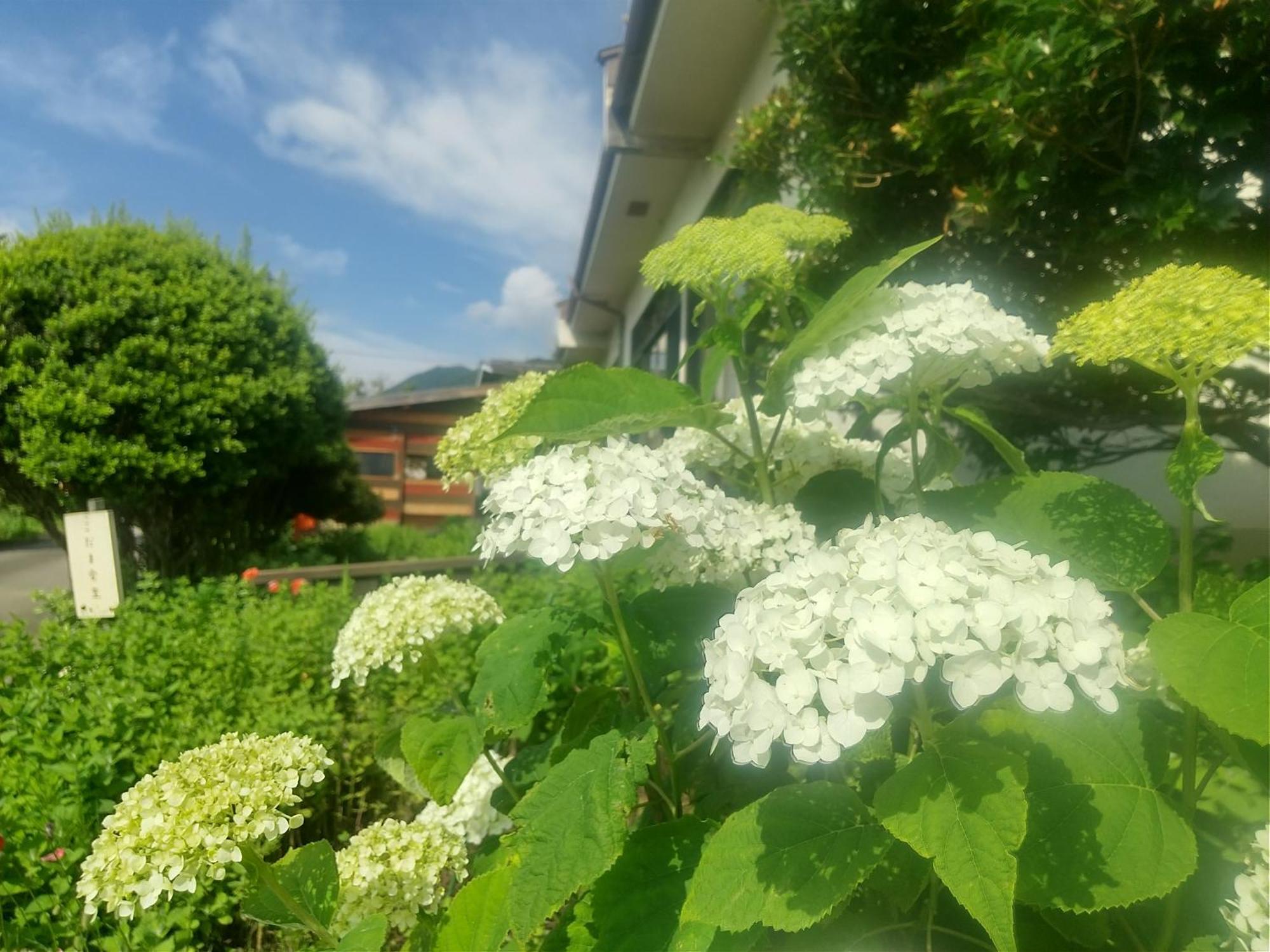 こだまやリトリート 女性専用 Women-only Homestay Matsumoto